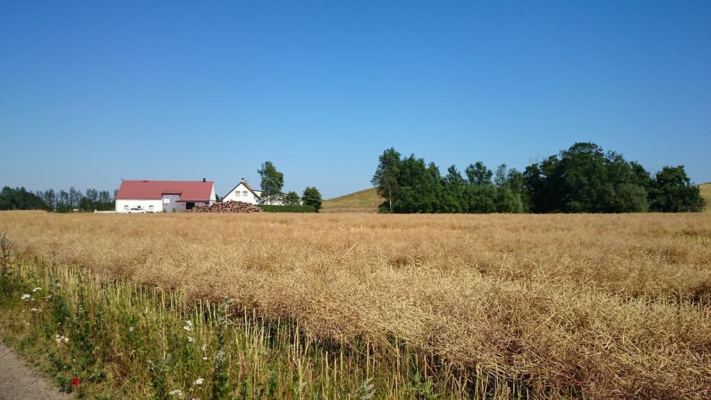 Bed & Breakfast Vinkille Löderup 外观 照片